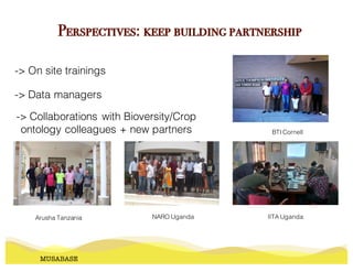 -> On site trainings
-> Data managers
MUSABASE
Perspectives: keep building partnership
Arusha Tanzania NARO Uganda IITA Uganda
BTI Cornell
-> Collaborations with Bioversity/Crop
ontology colleagues + new partners
 