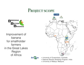 + University of Queensland, Australia
+ National Banana Breeding Program, India
+ University of Malaya, Malaysia
Improvement of
banana
for smallholder
farmers
in the Great Lakes
Region
of Africa
Projectscope
 