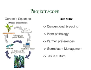 Genomic Selection
(Moses presentation)
But also:
-> Conventional breeding
-> Plant pathology
-> Parmer preferences
-> Germplasm Management
->Tissue culture
Projectscope
 