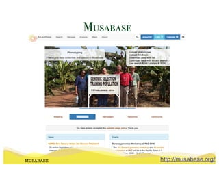Musabase
MUSABASE http://musabase.org/
 