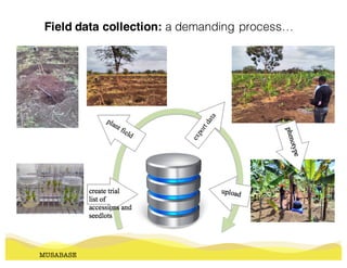 MUSABASE
Field data collection: a demanding process…
 