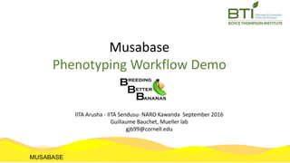 Musabase
Phenotyping Workflow Demo
MUSABASE
IITA Arusha - IITA Sendusu- NARO Kawanda September 2016
Guillaume Bauchet, Mueller lab
gjb99@cornell.edu
 