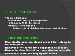 •nutritionAL VALue 
•100 gm edible pulp 
•85 calories, mostly carbohydrates 
•Vitamin, A, C, B1, B2, niacin 
•Minerals, very high in K 
•Reduce risk of high blood pressure and strokes. 
•Fruit Protection 
•Blue plastic bags are placed around fruit stems to 
increase yield. 
•Removal of withered style suggested to prevent 
disease in ‘Gros Michel’ but may abscise naturally. 
•Removal of male bud may lighten bunch. 
 