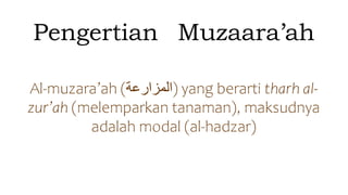 Musaqah & muzara'ah.pptx
