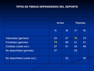 TIPOS DE FIBRAS DEPENDIENDO DEL DEPORTE lentas Rápidas H M H M Velocistas (gemelo) 24 27 76 73 Fondistas (gemelo) 79 69 21 31 Ciclistas (vasto ext.) 57 51 43 49 No deportistas (gemelo) 47 53 No deportistas (vasto ext.) 52 48 