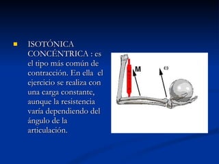 ISOTÓNICA CONCÉNTRICA : es el tipo más común de contracción. En ella  el ejercicio se realiza con una carga constante, aunque la resistencia varía dependiendo del ángulo de la articulación. 