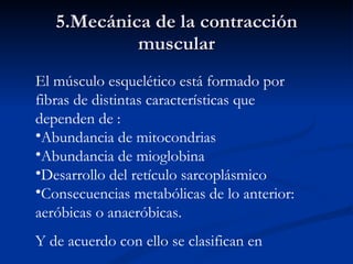 5.Mecánica de la contracción muscular ,[object Object],[object Object],[object Object],[object Object],[object Object],[object Object]