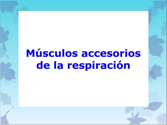 Musculos accesorios de la respiracion scielo