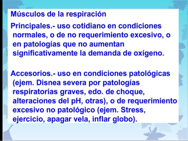 Musculos accesorios de la respiracion normal Musculos accesorios de la respiracion normal