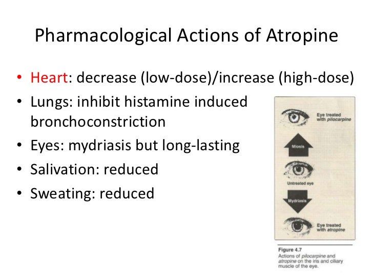 muscarinic agonists and antagonists muscarinic agonist