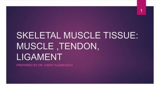 SKELETAL MUSCLE TISSUE:
MUSCLE ,TENDON,
LIGAMENT
PREPARED BY DR. DAWIT ALEMAYEHU
1
 