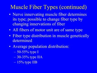 Muscle Fiber Types (continued) Nerve innervating muscle fiber determines its type; possible to change fiber type by changing innervations of fiber All fibers of motor unit are of same type Fiber type distribution in muscle genetically determined Average population distribution: 50-55% type I 30-35% type IIA 15% type IIB 