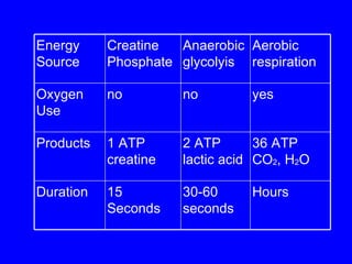 Energy Source Creatine Phosphate Anaerobic glycolyis Aerobic respiration Oxygen Use no no yes Products 1 ATP creatine 2 ATP lactic acid 36 ATP CO 2 , H 2 O Duration 15 Seconds 30-60 seconds Hours 