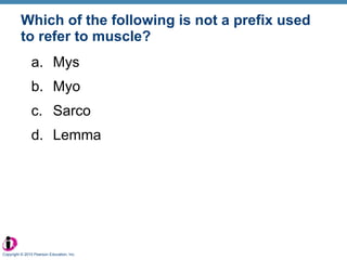 Which of the following is not a prefix used to refer to muscle? Mys Myo Sarco Lemma Copyright © 2010 Pearson Education, Inc. 