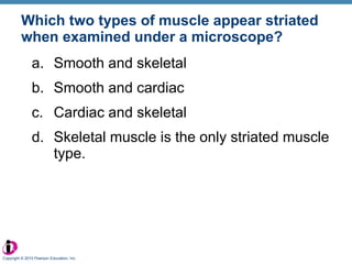 Which two types of muscle appear striated when examined under a microscope? Smooth and skeletal Smooth and cardiac Cardiac and skeletal Skeletal muscle is the only striated muscle type. Copyright © 2010 Pearson Education, Inc. 