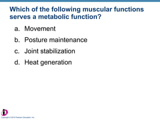 Which of the following muscular functions serves a metabolic function? Movement Posture maintenance Joint stabilization Heat generation Copyright © 2010 Pearson Education, Inc. 