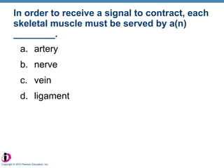 In order to receive a signal to contract, each skeletal muscle must be served by a(n) ________. artery nerve vein ligament Copyright © 2010 Pearson Education, Inc. 