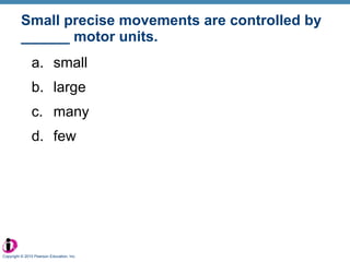 Small precise movements are controlled by ______ motor units. small large many few Copyright © 2010 Pearson Education, Inc. 