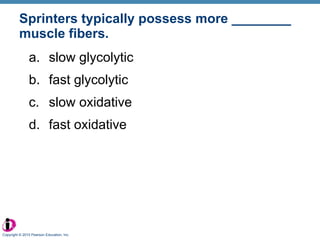 Sprinters typically possess more ________ muscle fibers. slow glycolytic fast glycolytic slow oxidative fast oxidative Copyright © 2010 Pearson Education, Inc. 