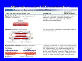 Structure and Organization Table 9.1b 