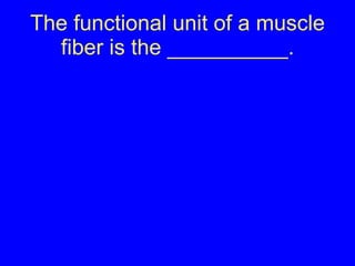 The functional unit of a muscle fiber is the __________. 