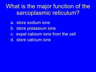What is the major function of the sarcoplasmic reticulum? a.  store sodium ions b.  store potassium ions c.  expel calcium ions from the cell d.  store calcium ions 