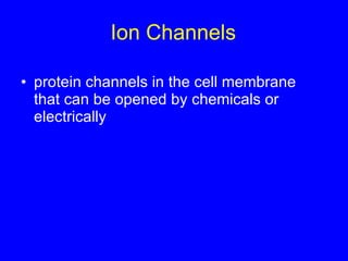 Ion Channels protein channels in the cell membrane that can be opened by chemicals or electrically 