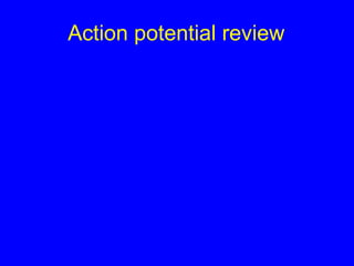 Action potential review 