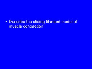 Describe the sliding filament model of muscle contraction 