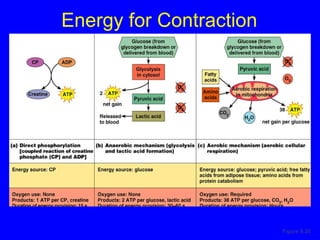 Energy for Contraction Figure 9.20 