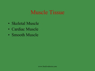 Muscle Tissue ,[object Object],[object Object],[object Object],www.freelivedoctor.com 