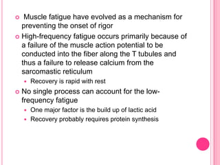  Muscle fatigue have evolved as a mechanism for preventing the onset of rigorHigh-frequency fatigue occurs primarily because of a failure of the muscle action potential to be conducted into the fiber along the T tubules and thus a failure to release calcium from the sarcomastic reticulumRecovery is rapid with restNo single process can account for the low-frequency fatigueOne major factor is the build up of lactic acidRecovery probably requires protein synthesis