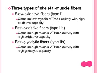 Fast fibersFibers containing myosin with high  ATPase activity containing myosin with lower ATPase activityslow fibers
