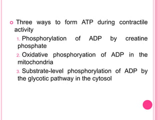  Three ways to form ATP during contractile activityPhosphorylation of ADP by creatine phosphate Oxidative phosphoryation of ADP in the mitochondria Substrate-level phosphorylation of ADP by the glycotic pathway in the cytosol