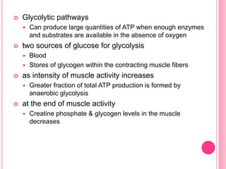 Glycolytic pathwaysCan produce large quantities of ATP when enough enzymes and substrates are available in the absence of oxygen two sources of glucose for glycolysisBloodStores of glycogen within the contracting muscle fibers  as intensity of muscle activity increasesGreater fraction of total ATP production is formed by anaerobic glycolysis at the end of muscle activityCreatine phosphate & glycogen levels in the muscle decreases