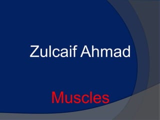 Zulcaif Ahmad

  Muscles
 