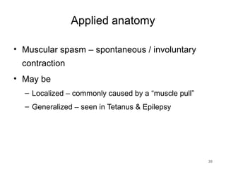 Muscle | PPT