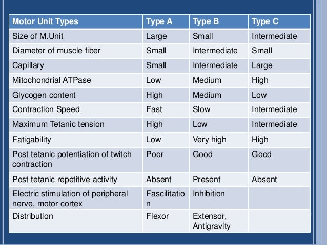 Muscle Fiber Types Chart