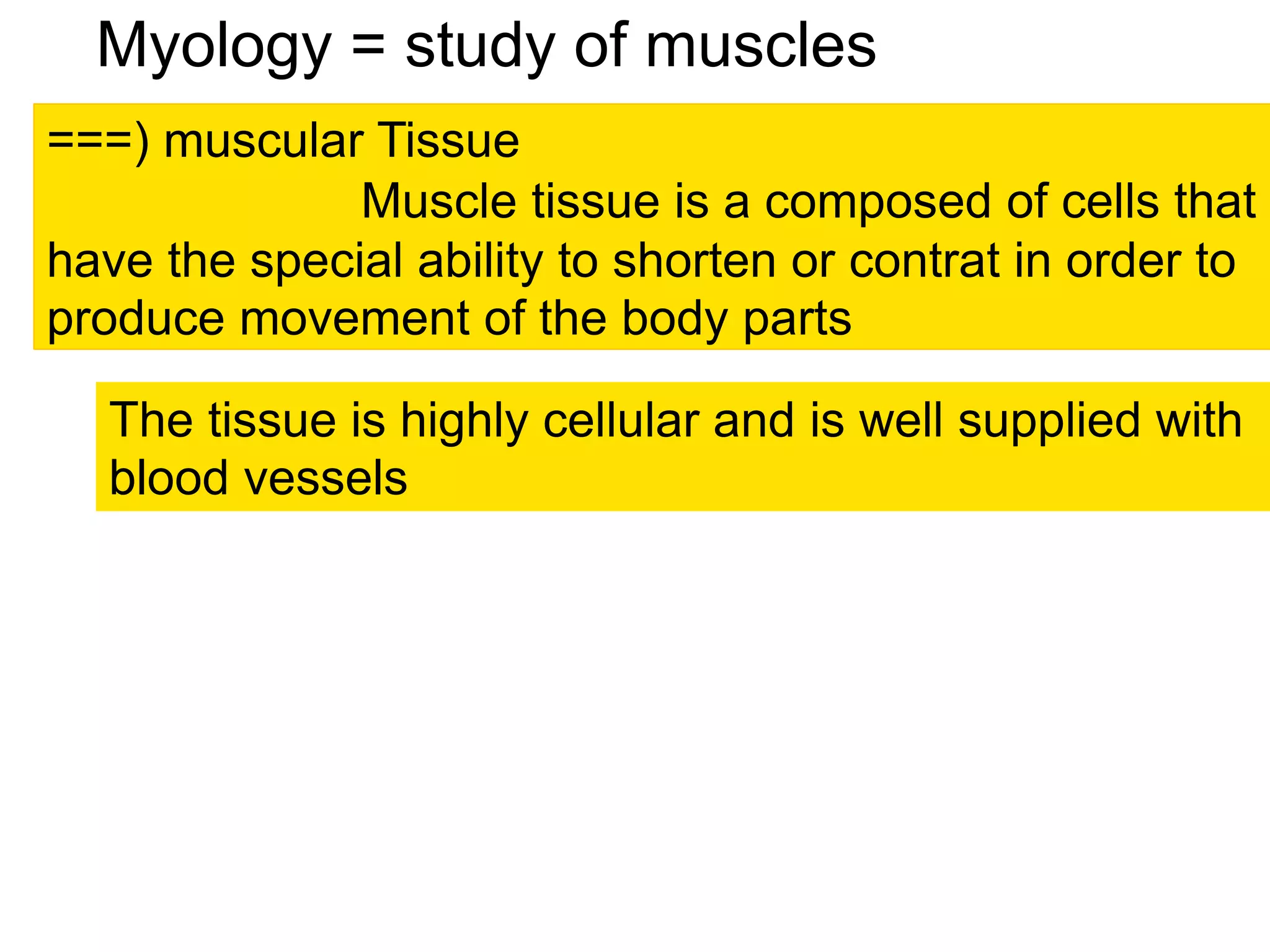 muscle.pptx