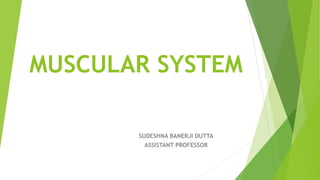MUSCULAR SYSTEM
SUDESHNA BANERJI DUTTA
ASSISTANT PROFESSOR
 
