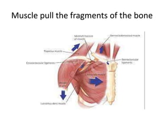 muscle.pptx nursing science healthh care | PPTX