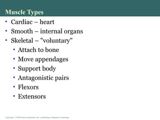 Human Functional Physiology of Muscles.ppt
