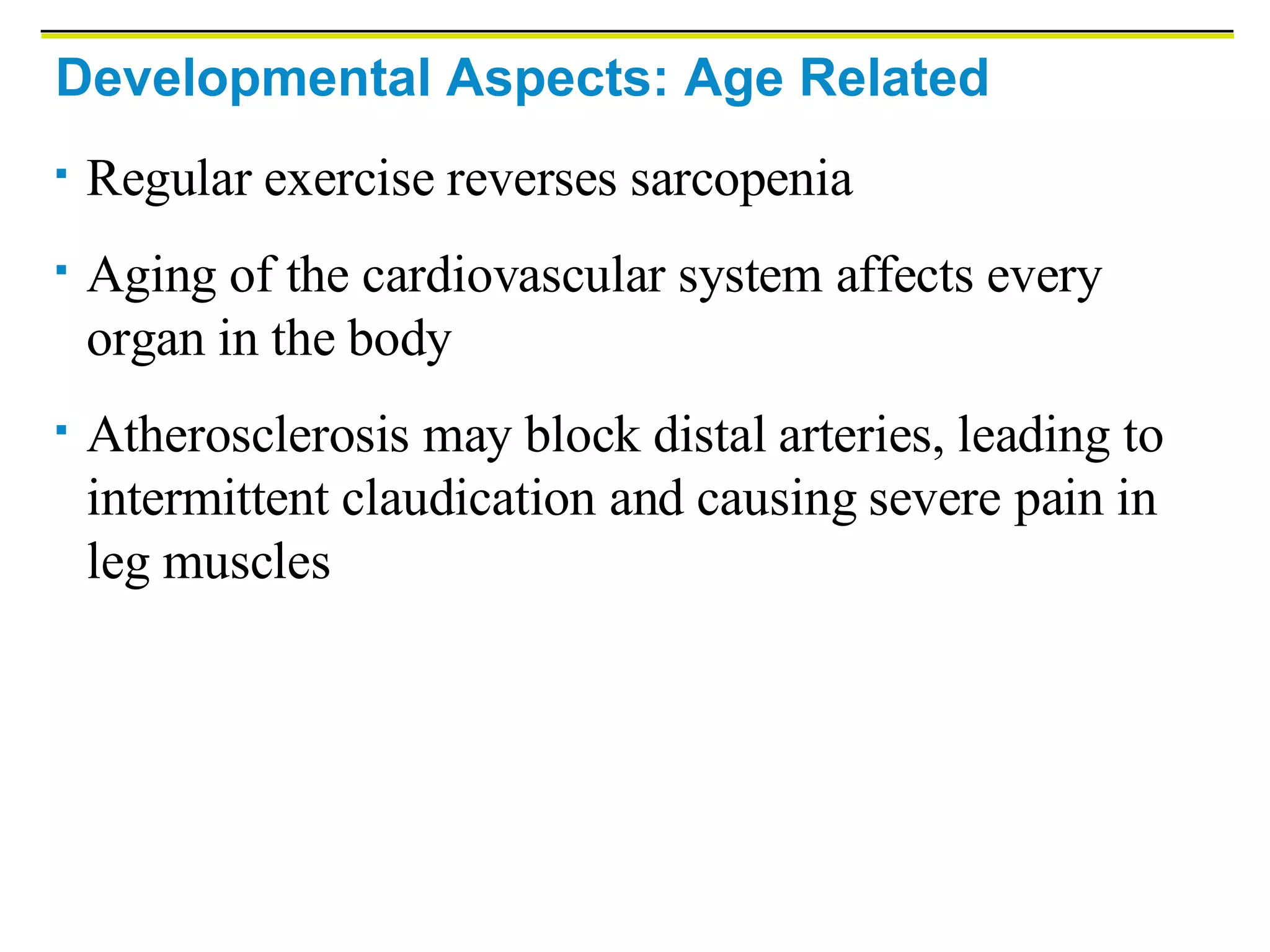 Muscle Development | PPT