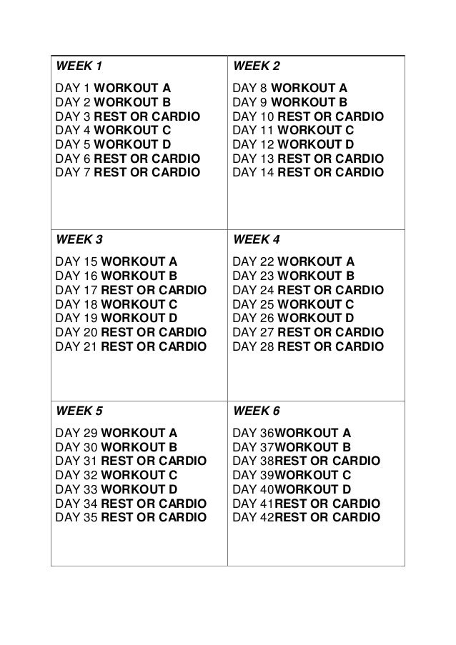 muscle fitness 2016 starter