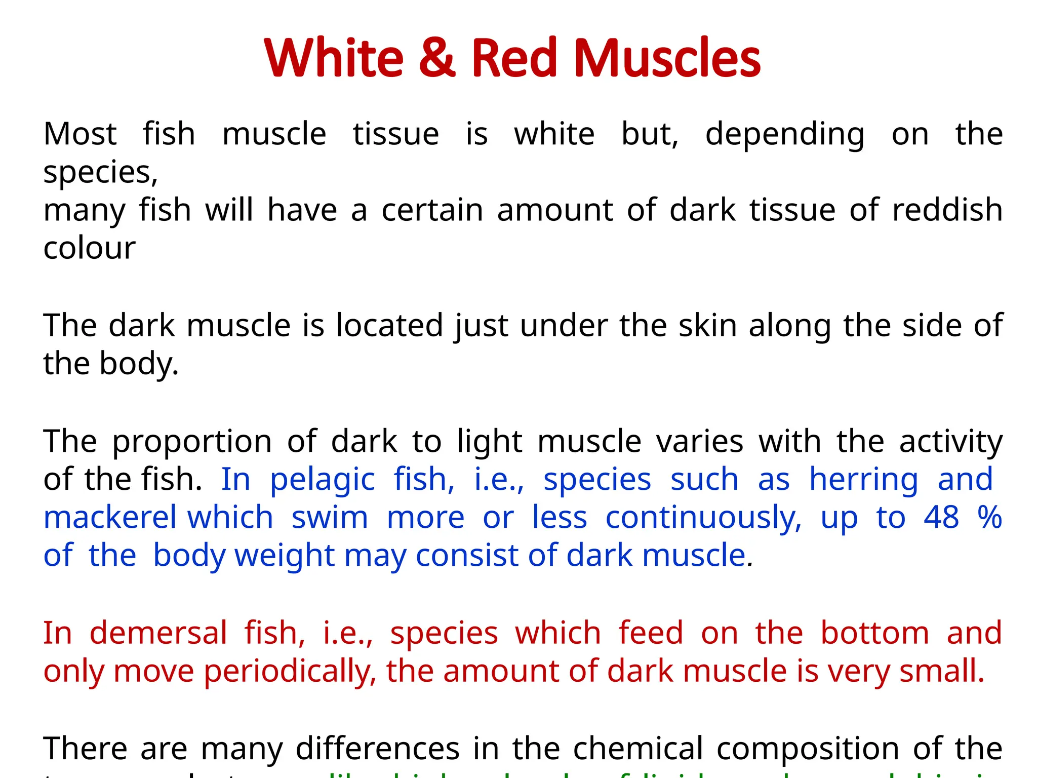 muscle-physiology of fishes updated .pptx