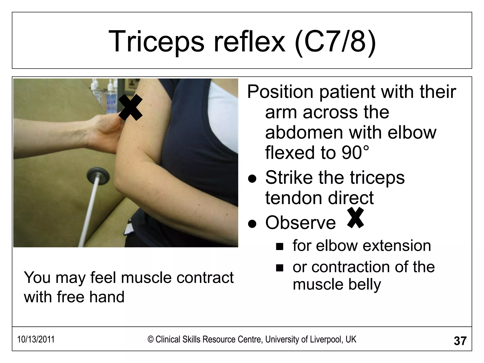 Muscle Power and Tone Examination | PDF | Death, Injury, or Military ...