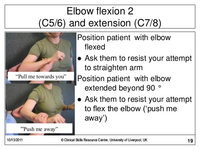 Muscle Power and Tone Examination