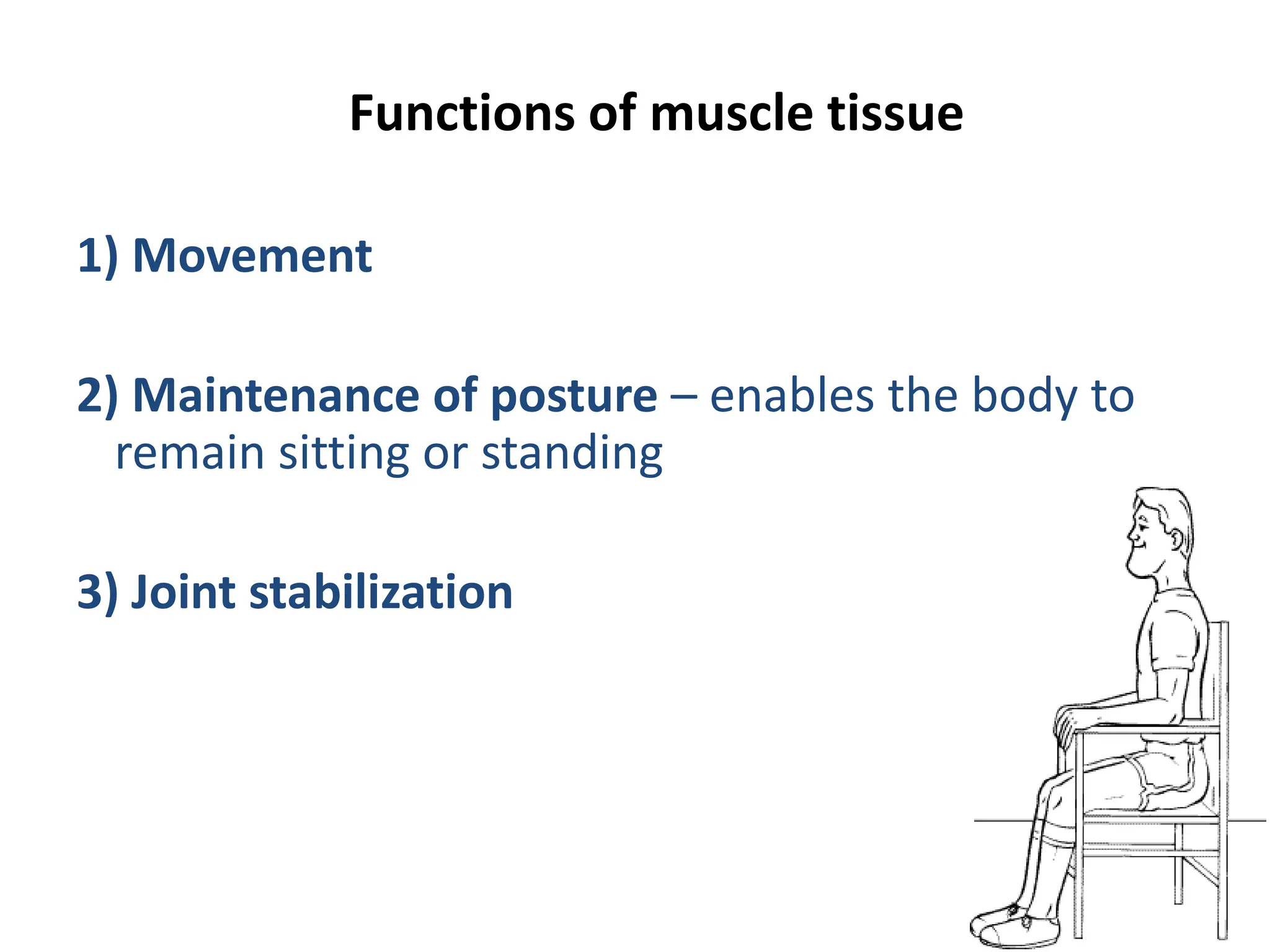 MUSCLE - 15903 by SSG muscle anatomy of upper limb lower limb and all ...