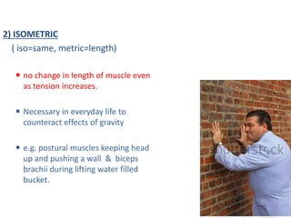 Isometric Muscle Function MUSCLE - 15903 by SSG muscle anatomy of upper limb lower limb and all ...