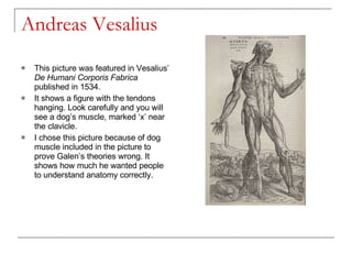 Andreas Vesalius ,[object Object],[object Object],[object Object]